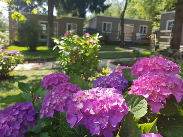 Mobile-home's Garden